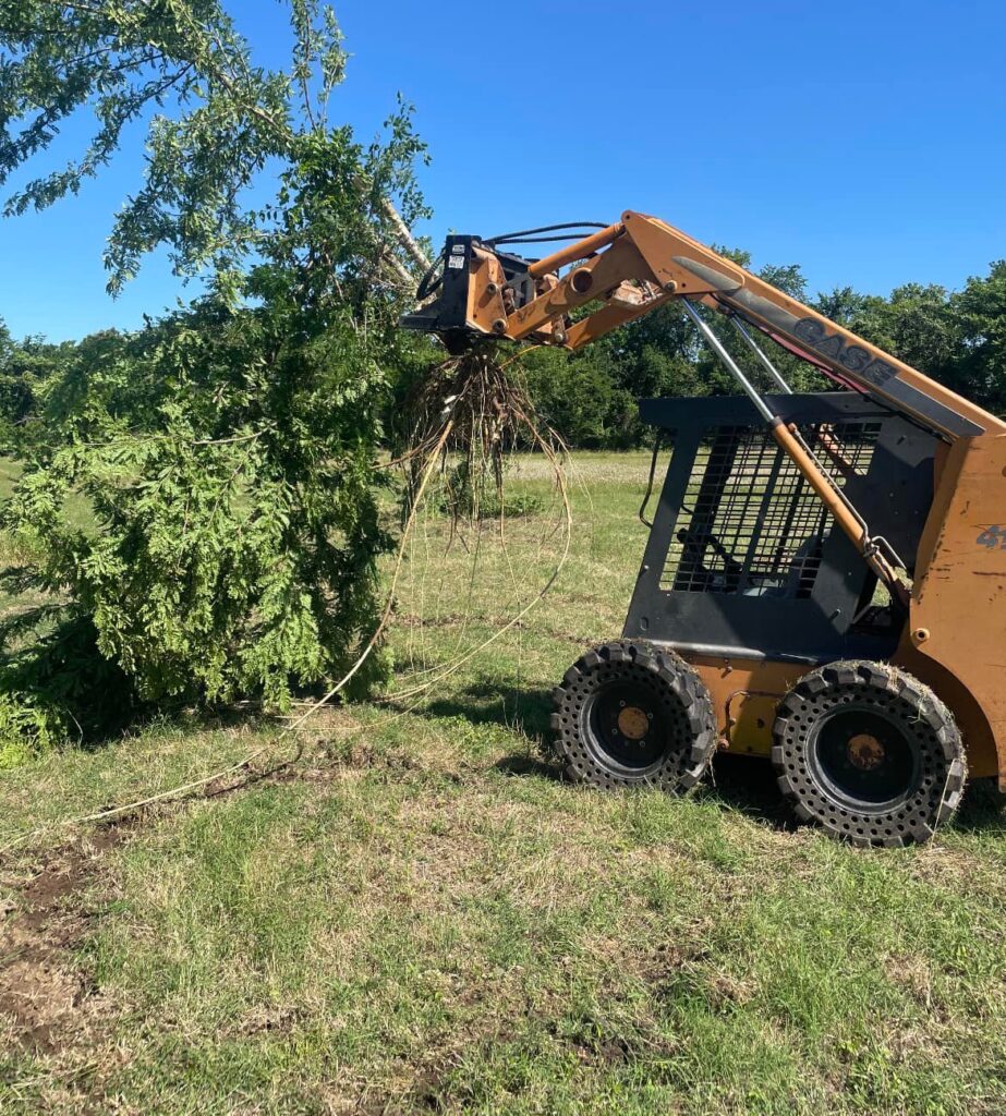 Ranch land improvement project