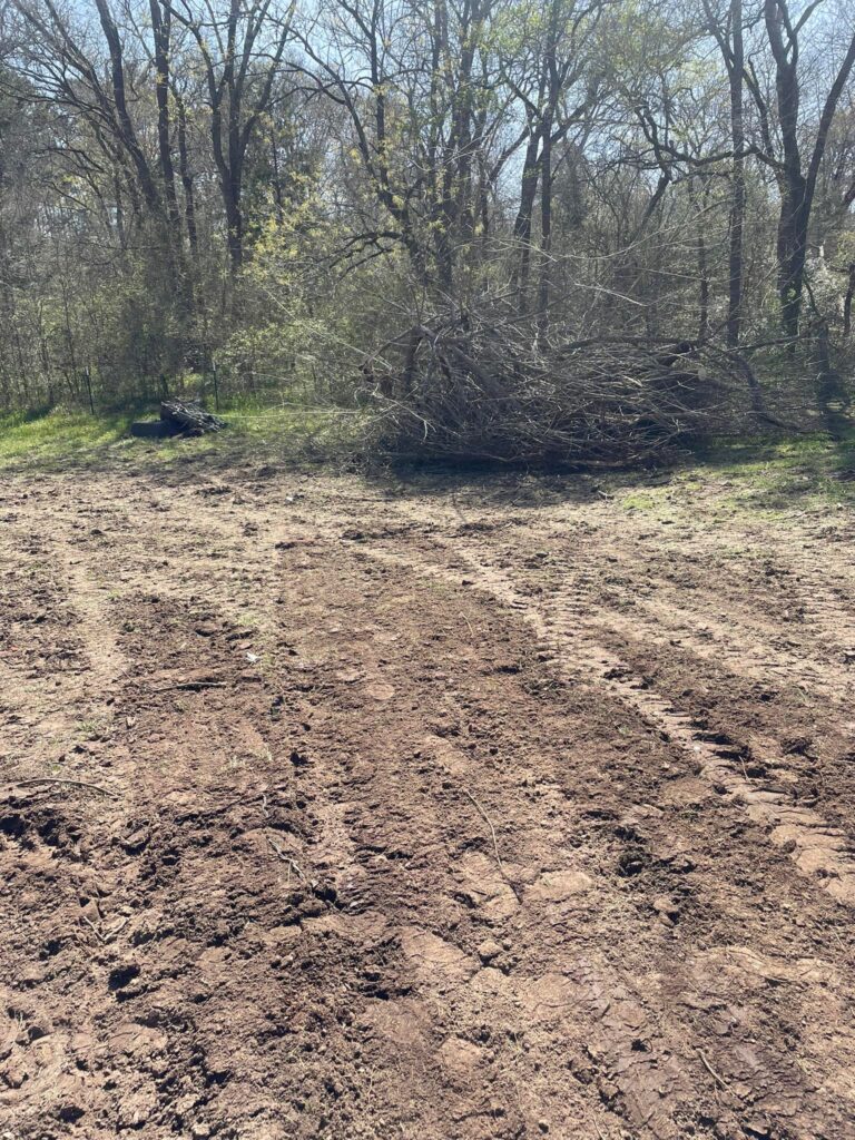 Open land managed and maintained