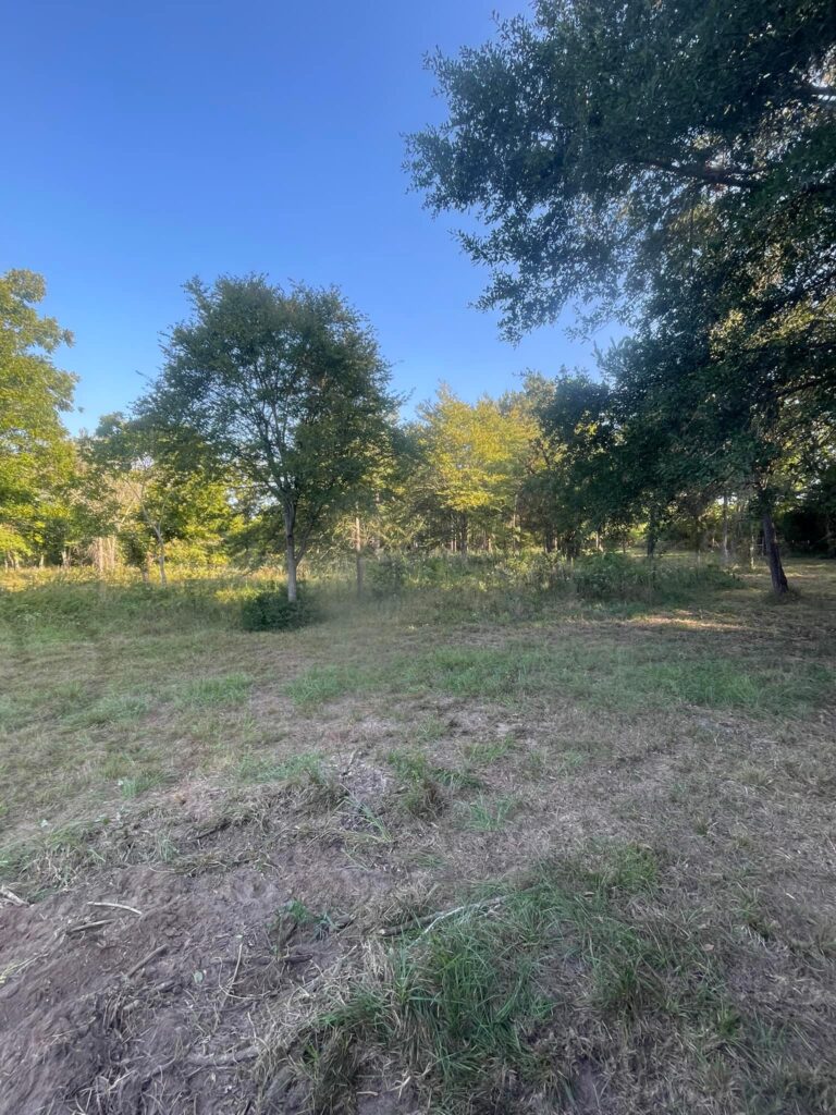 Site cleared for fencing